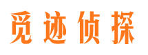 前进调查事务所